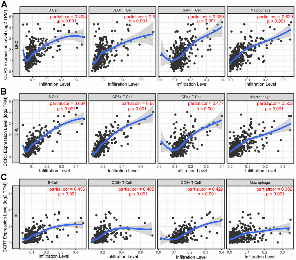 Correlation between CCRs expression and tumor-infiltrating immune cells. (A) Scatter plot in terms of CCR1 expression and tumor-infiltrating immune cells; (B) scatter plot in terms of CCR5 expression and tumor-infiltrating immune cells; (C) scatter plot in terms of CCR7 expression and tumor-infiltrating immune cells.