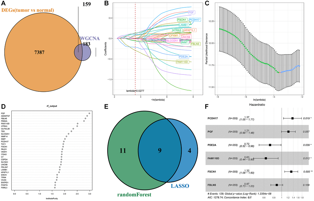 Screening of key genes. (A) Intersection of differential expressed genes and WGCNA screened module genes; (B) The trajectory of each independent variable; (C) Confidence interval for each lambda; (D) Sequencing of genes screened by randomForest algorithm; (E) The result intersection of LASSO algorithm and randomForest algorithm; (F) Multivariate forest map of key genes.