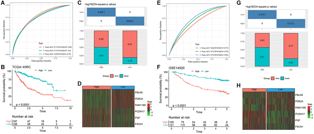 Design and verification of RiskScore model. (A) ROC curves for 1, 3 and 5 years of RiskScore model in TCGA-HCC; (B) KM curve of different RiskScore groups in TCGA-HCC; (C) Survival state between different RiskScore groups of TCGA-HCC; (D) Expression of key genes in TCGA-HCC; (E) ROC curves for 1, 3 and 5 years of RiskScore model in GSE14520 dataset; (F) KM curve of different RiskScore groups in GSE14520 dataset; (G) Survival state between different RiskScore groups of GSE14520 dataset; (H) Expression of key genes in GSE14520 dataset. *p 