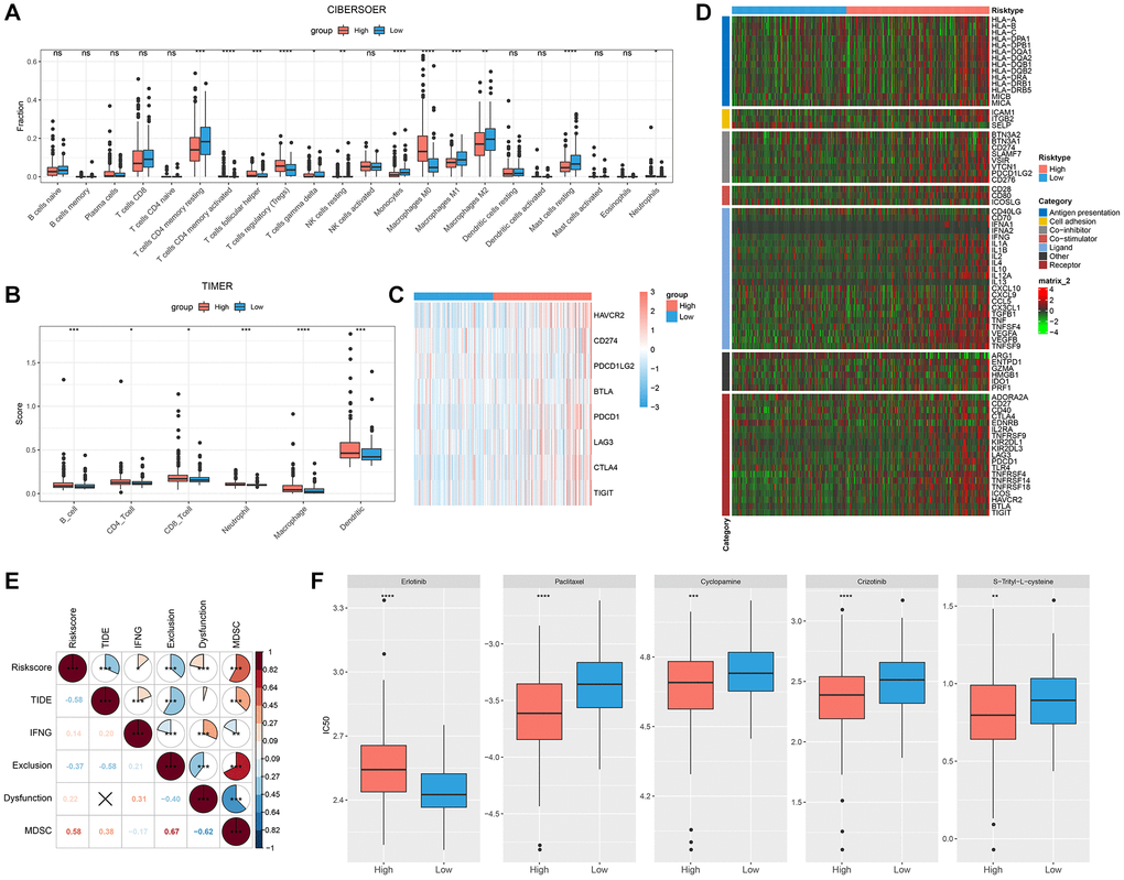 Immunological abnormalities and drug susceptibility between RiskScore groups. (A) Differences in immune infiltration by CIBERSORT algorithm; (B) Differences in immune score by TIMER; (C) Analysis of immune checkpoint gene expression; (D) Differences in the expression of immunomodulators; (E) Correlation between RiskScore and TIDE score; (F) Comparison of drug sensitivity between different RiskScore groups.