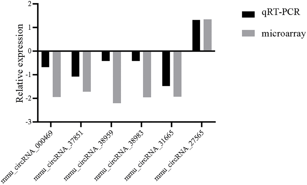 Relative fold changes of six randomly selected circRNAs from microarray results and validated by qRT-PCR. The downward and upward histogram represent down-expression and up-expression, respectively.