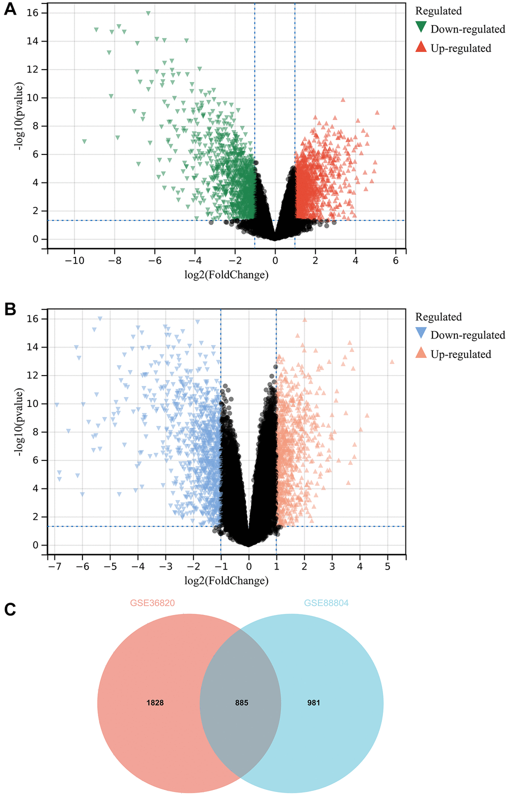 Screening of DEGS. (A) Identification of DEGs by GSE36820. (B) Identification of DEGs by GSE88804. (C) Screening of DEGS. The intersection of Venn diagram, a total of 885 DEGs were identified.