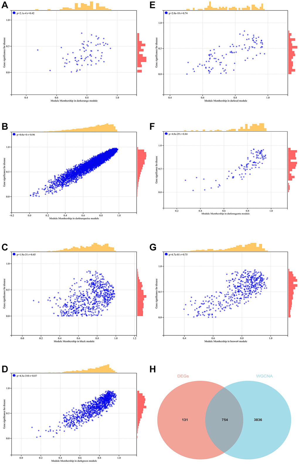 WGCNA. (A–G) GS-MM correlation scatter map of related hub genes. (H) The Venn diagram of the differential genes screened by WGCNA and DEGs and take the intersection to create and analyze the protein-protein interaction network.