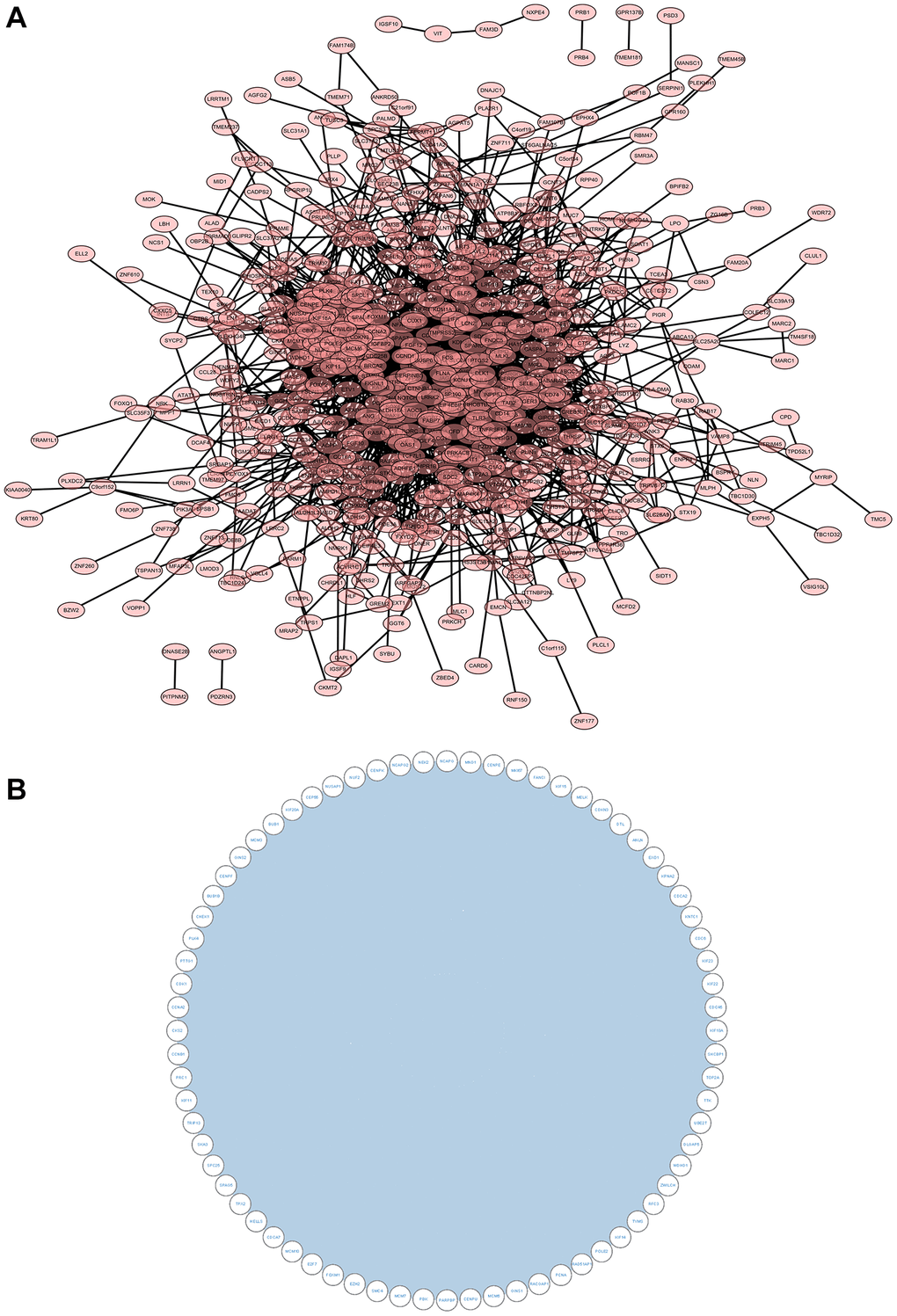 Construction and analysis of protein-protein interaction (PPI) network. (A) The PPI network of DEGs. (B) Core gene clusters were obtained.