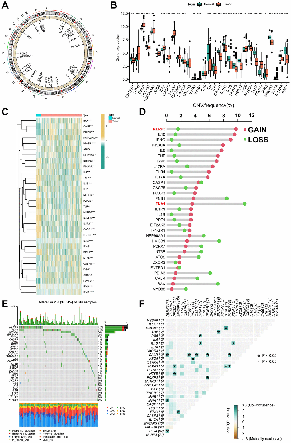 Landscape of 31 ICDGs in LUAD. (A) Circus plots of chromosome distributions of ICDGs. (B) Expression distributions of ICDGs between LUAD and normal tissues. (C) Heatmap shows 31 ICDGs expression profiles among normal and LUAD samples. (D) The CNV mutation frequency of ICDGs. (E) Somatic mutation spectrums of ICDGs. (F) Correlation between 31 ICDGs in TCGA-LUAD. *p **p ***p 