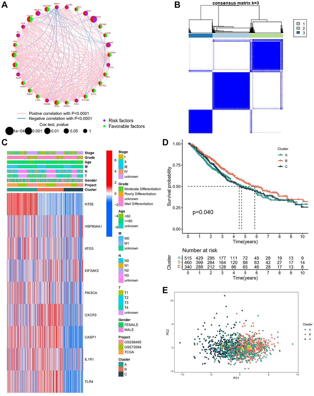 Identification of molecular subtypes based on ICDGs. (A) The interaction of expression on ICDGs in LUAD. (B) Consensus clustering matrix at K = 3. (C) Heatmap of the nine genes between the three clusters and the correlations of the clusters and clinical parameters. (D) KM curve of the survival difference between the three clusters. (E) PCA plot for the three clusters.