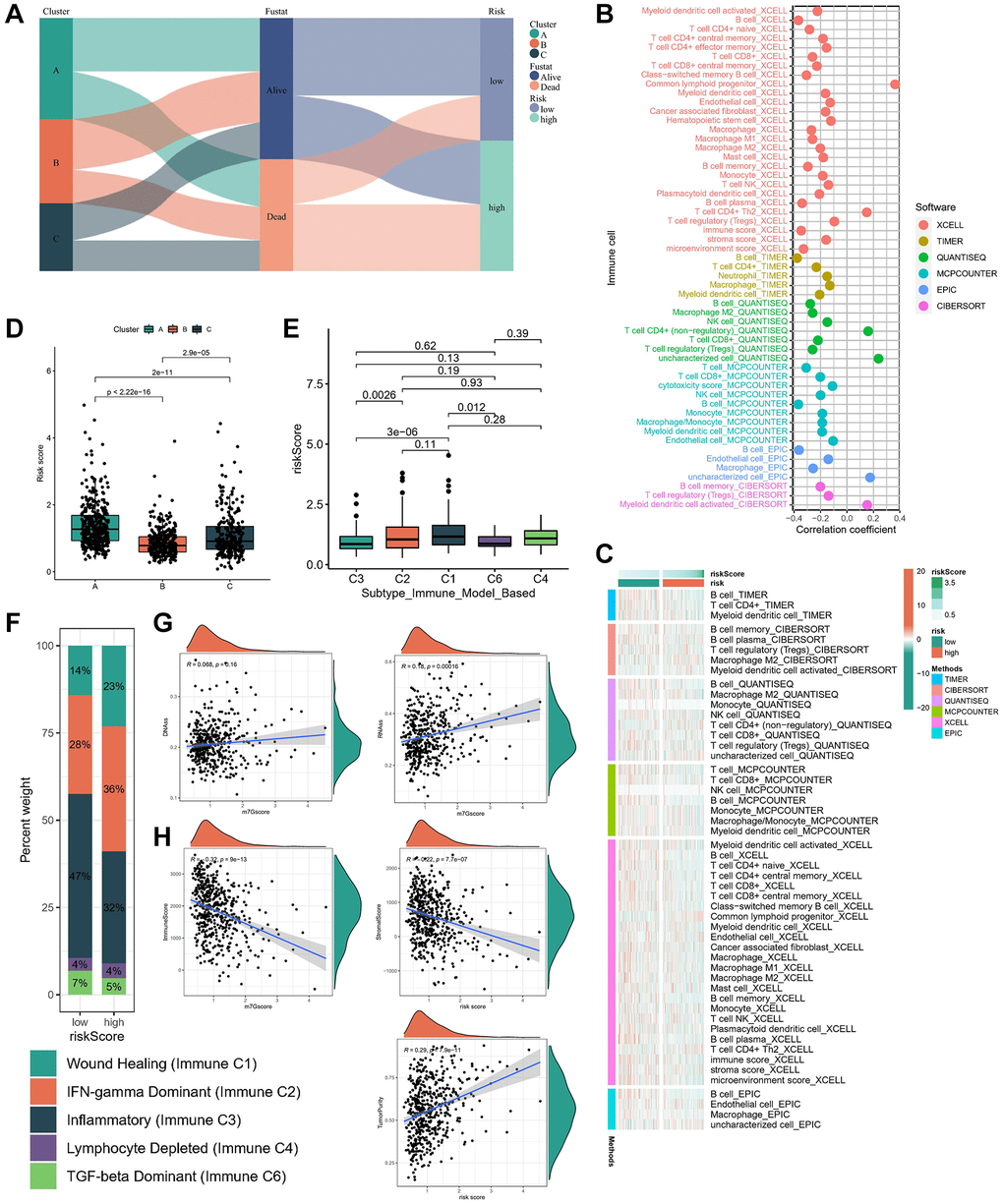 Immune characteristics in different risk subgroups. (A) The sankey diagram of the relationship among the clusters, risk score and survival state. The correlation of tumor-infiltrating cells with risk score using 6 algorithms. (B) Heatmap. (C) lollipop plot. (D) Risk score levels of cluster A/B/C subtypes. (E, F) Relationships between risk score and immune subtypes. (G) The correlation between risk score and stemness index. (H) The correlation between risk score and TME scores.