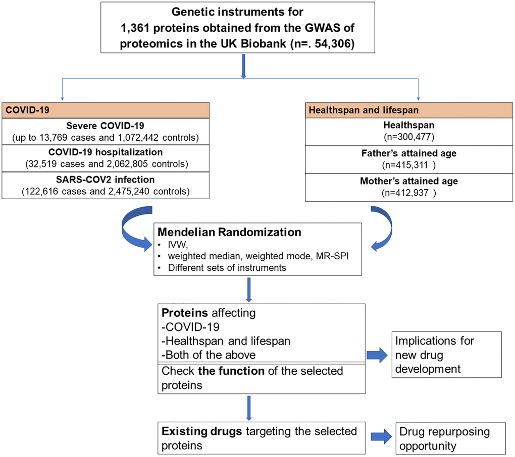 Flow chart of the study design.