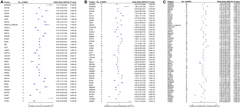 Proteins that are significantly associated with (A) severe COVID-19, (B) COVID-19 hospitalization, and (C) COVID-19 infection. The inverse-variance weighted (IVW) estimates are presented in log-odds ratio with the corresponding 95% confidence intervals.