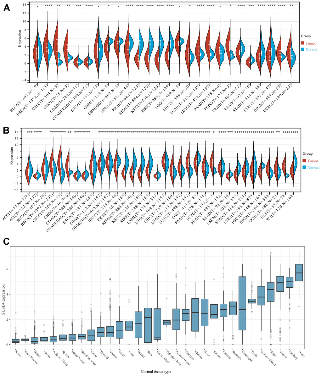 The expression of SUSD4 in pan-cancer. (A) Pan-cancer analysis of SUSD4 expression across cancers from TCGA. (B) Expression profiles across GTEx tissues and TCGA. (C) Expression of SUSD4 in cell lines from CCLE dataset. *p Supplementary Table 1.