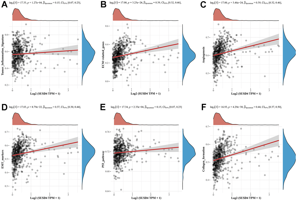 Correlation analysis between SUSD4 expression and pathway signatures in COADREAD. (A) Tumor inflammation signature. (B) ECM−related genes signature. (C) Angiogenesis signature. (D) EMT markers signature. (E) P53 pathway signature. (F) Collagen formation signature.