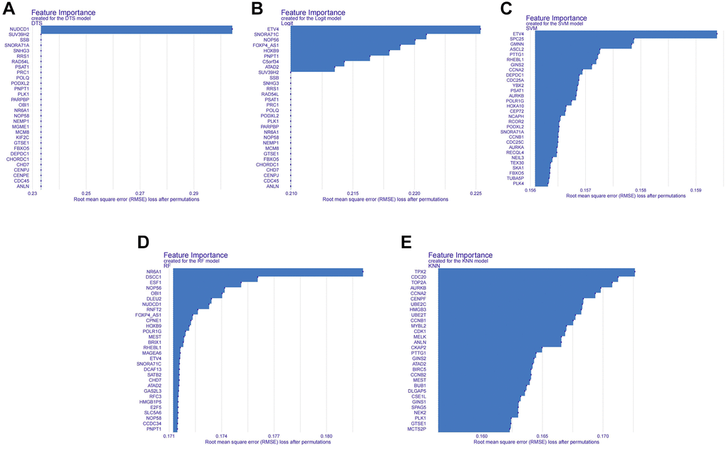 Histogram of the importance of genes in different machine learning algorithms. (A) Histogram of gene importance for the DTS machine learning algorithm. (B) Histogram of gene importance for the Logit machine learning algorithm. (C) Histogram of gene importance for the SVM machine learning algorithm. (D) Histogram of gene importance for the RF machine learning algorithm. (E) Histogram of gene importance for the KNN machine learning algorithm.