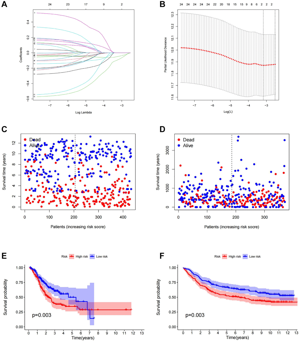 Construction of prognostic model. (A) LASSO coefficient profiles of the genes obtained from the SVM machine learning algorithm. (B) Partial likelihood deviance was plotted versus log (Lambda). The vertical dotted line indicates the lambda value with the minimum error and the largest lambda value. (C) The distribution of survival status in TCGA cohorts based on TSRS. (D) The distribution of survival status in GEO cohorts based on TSRS. (E) The patient samples from TCGA were divided into high and low TSRS groups and the OS of the groups were analyzed. (F) OS analysis of high and low TSRS groups from the GEO samples. Abbreviation: LASSO: least absolute shrinkage and selection operator.