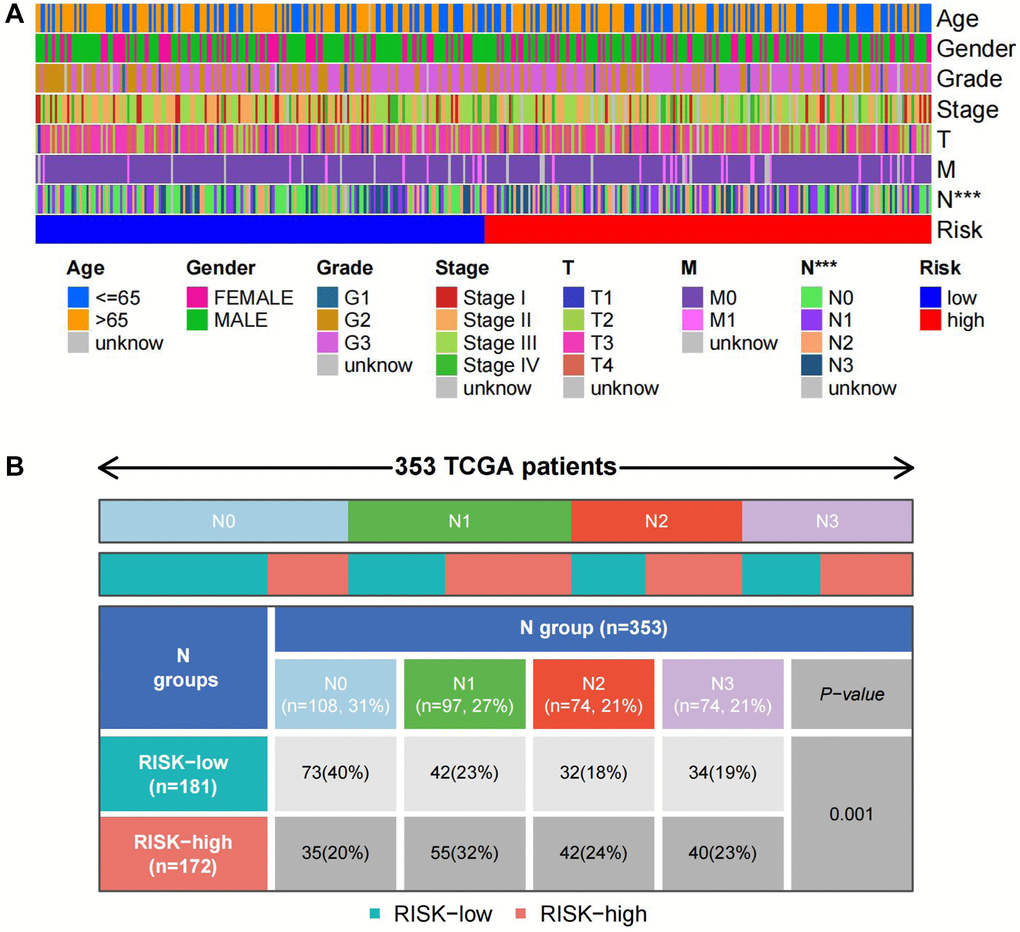 Distribution of TSRS in different pathological parameters. (A) Clinical heat map of clinicopathological parameters and TSRS. (B) Clinical heat map of N and TSRS.