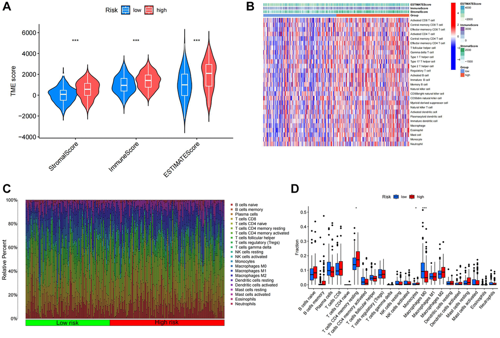 Immune infiltration analysis of different TSRS groups. (A) ESTIMATE analysis of high and low TSRS groups. (B) ssGSEA analysis of high and low TSRS group. (C) Histogram of different immune cell content in each sample. (D) Comparison of the content of different immune cells in high and low TSRS groups.