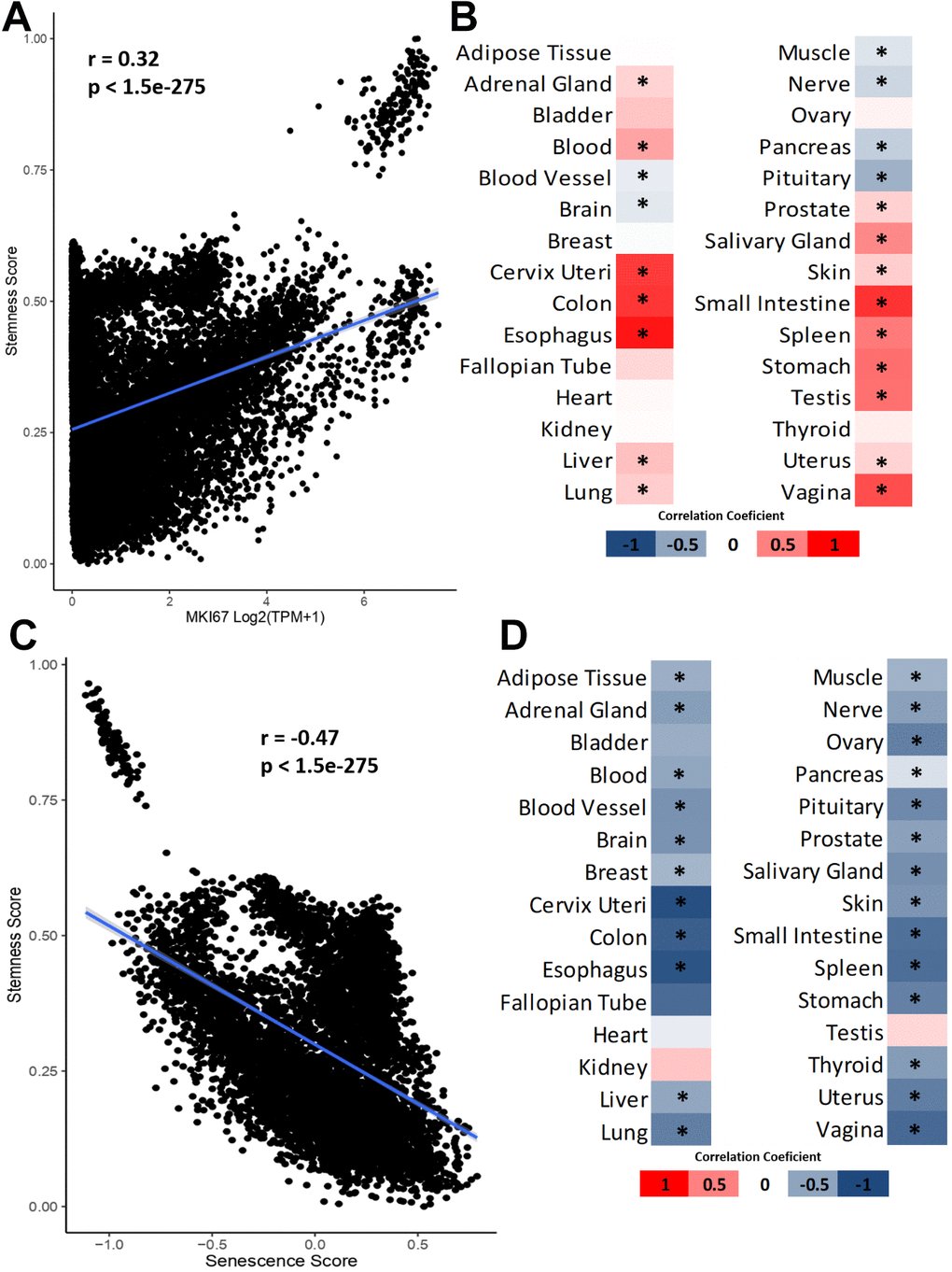 Relationship between stemness, cellular proliferation and senescence. (A) Correlation between stemness score and MKI67 expression. (B) Heatmap of Pearson’s correlation coefficient between stemness scores and MKI67 expression. (C) Correlation between stemness score and senescence scores. (D) Heatmap of Pearson’s correlation coefficient between stemness score and senescence score. *FDR 