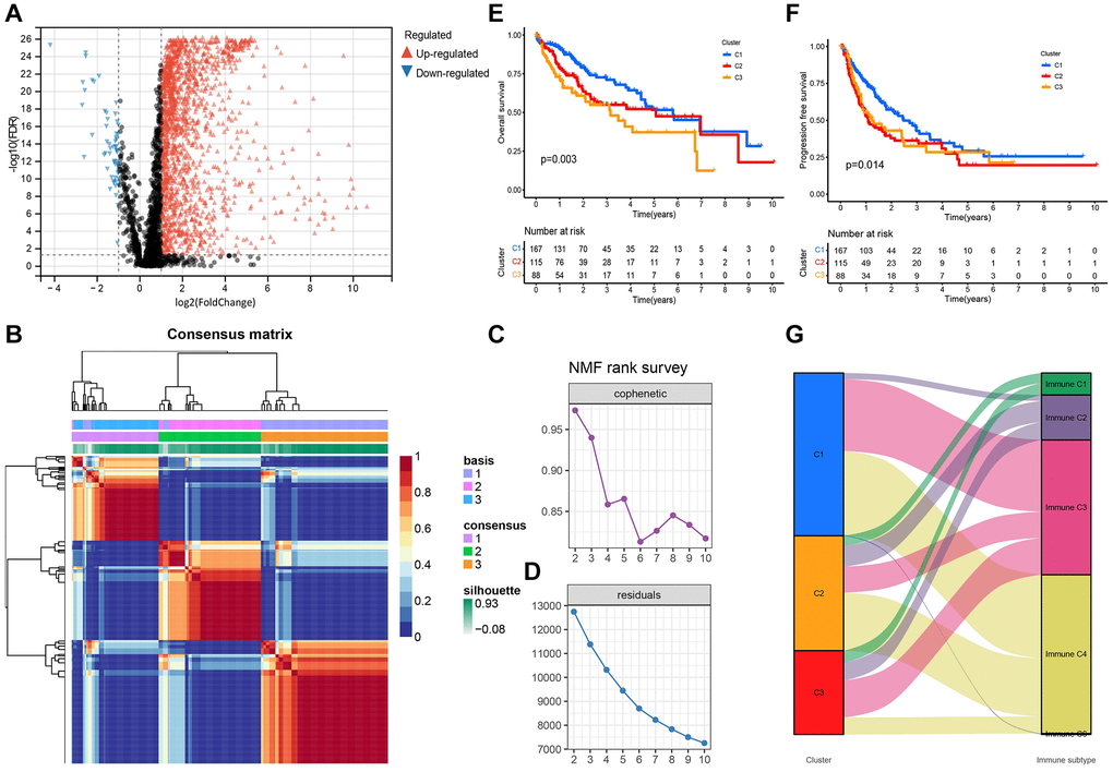 Differential expression and NMF consensus clustering analysis of TRGs. (A) Volcano plot shows DE-TRGs among 374 patients with HCC and 50 control samples. (B) NMF consensus clustering for the k = 3. (C) The cophenetic correlation coefficient indicates the stability of the cluster obtained using the NMF algorithm. (D) RSS reflects the performance of the model in clustering. (E) The KM survival curves show the OS and (F) the PFS of patients in the three subtypes. (G) The alluvial map shows the distribution of these subtypes in immune subtypes.