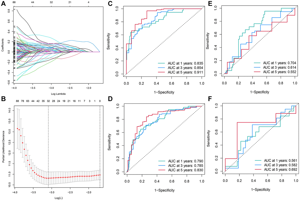 Construction of the RS model constituting 13 DE-TRGs. (A) The LASSO coefficient profile of the DE-TRGs in patients from the training set. (B) The partial likelihood deviance method was used for screening genes. (C–F) Constructing and validating the RS model with the AUC value for 1-, 3- and 5-year OS of patients with HCC in (C) training set; (D) entire TCGA cohort; (E) validation set; (F) GEO cohort.