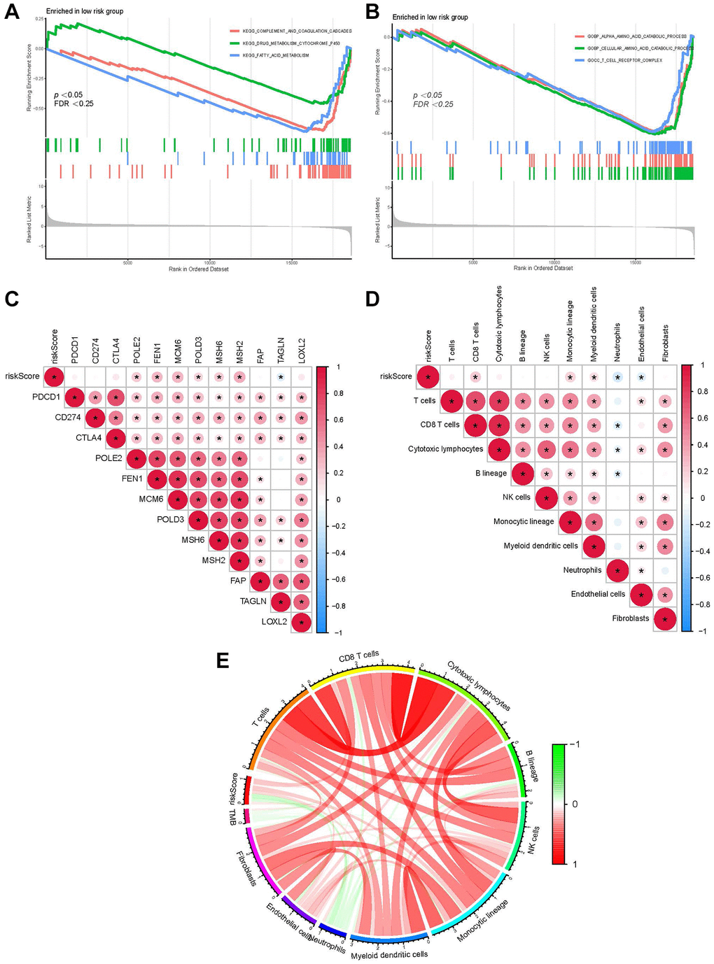 Function of our RS model. (A) GSEA shows the KEGG pathways enriched in the LRG. (B) GO terms enriched in the LRG. (C) The correlation between the RS of patients with LIHC and the expression of cancer-related pathway genes. (D) The correlation between immune cell score in patients from TCGA-LIHC and the RS. (E) Correlation between the RS/TMB and immune cell score. Among them, *usually represents a p-value 