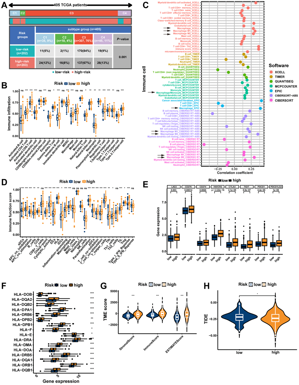 The immune landscape of the signature. (A) Different risk groups have different immune subtypes. (B) Differences between the two risk groups in immune cell infiltration. (C) The bubble plot shows the correlation between different immune cells and risk scores. (D) The comparison of immune-related functions or pathways between the two risk groups. The comparison of immune checkpoint (E) and HLA (F) molecules expression between the two risk groups. (G) Stromal score, immune score, and estimate score between the two risk groups. (H) Comparison of the tumor immune dysfunction and exclusion (TIDE) prediction scores in the low- and high-risk groups. ns, not significant; **P 