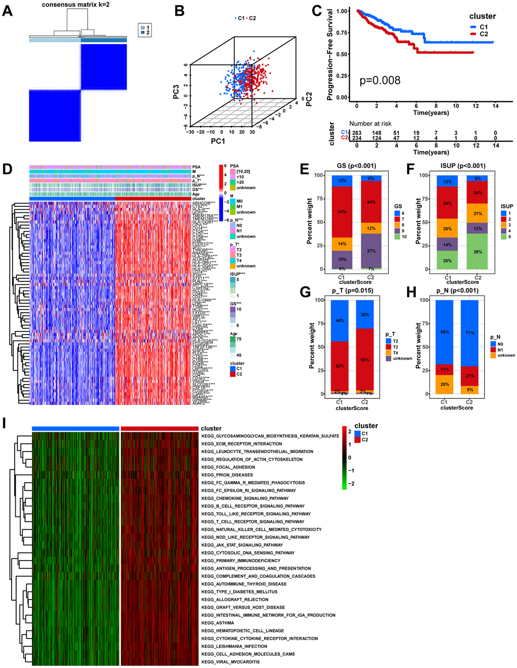 Unsupervised consensus analysis in the TCGA cohort. (A) Based on the expression of the 65 macrophage-related intersection genes, PCa patients in the TCGA cohort were separated into two distinct clusters when k = 2. (B) According to the 3D PCA plots, the cluster well-differentiated PCa patients from one another. (C) The KM analysis between different clusters. (D) Heatmap showing the expression levels of the 65 macrophage-related intersection genes and the distribution of clinicopathological features between clusters. The fractions of GS (E) ISUP (F), pathologic T stage (G), and pathologic N stage (H) between cluster groups. (I) The heatmap displays the GSVA result between distinct macrophage-related clusters. ns, not significant; **P 