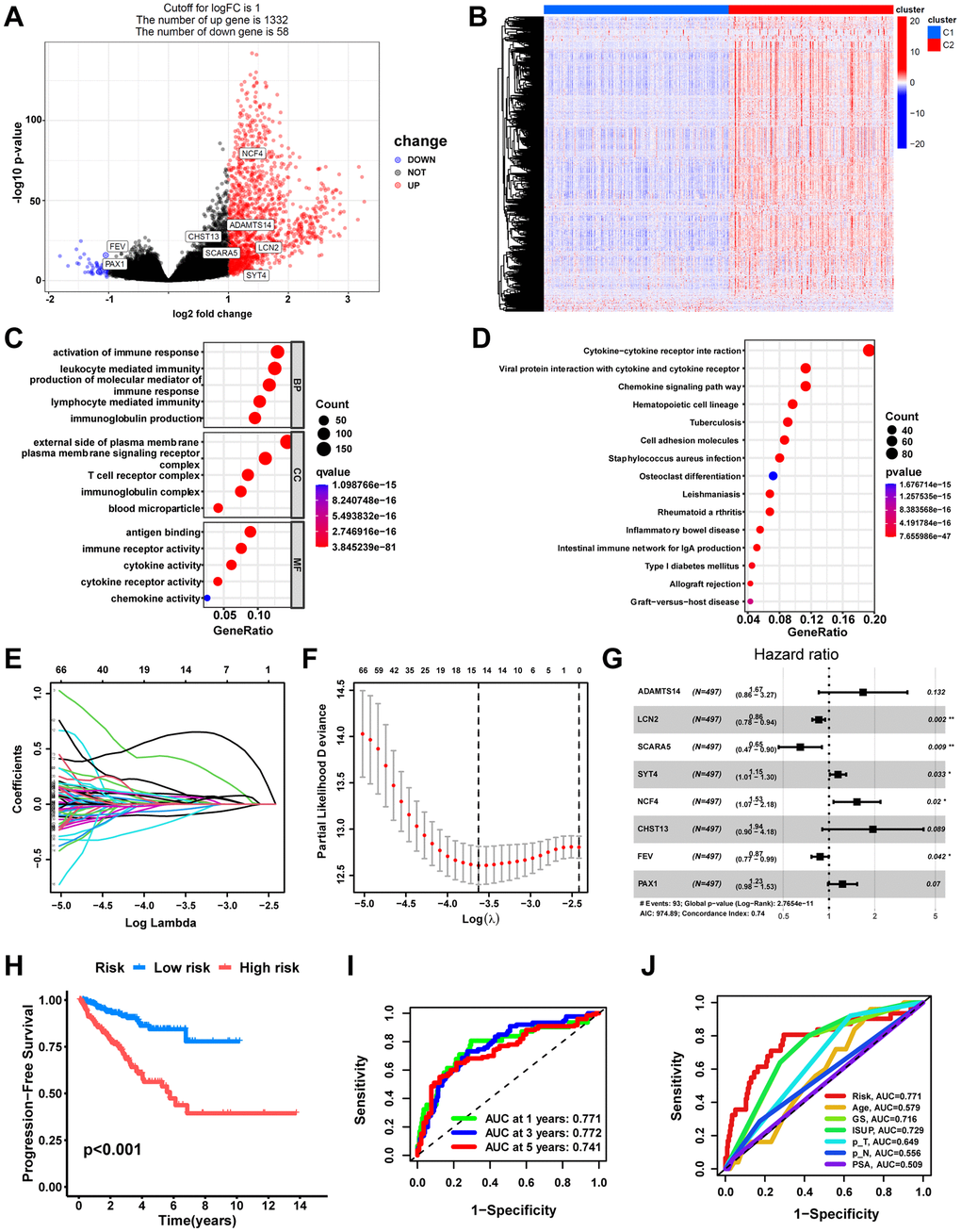 Development of a macrophage-related signature (MRS). (A) Volcano plot of DEGs between macrophage-related molecular subtypes in TCGA cohort. Significant DEGs were found when P  1. Genes that are upregulated are shown in red, and genes that are downregulated are shown in blue. (B) Heatmap of DEGs. Bubble plots of the GO (C) and KEGG pathways (D) functional enrichment of DEGs. (E) Based on macrophage-related clusters, LASSO Cox regression analysis selected eight genes. (F) Cross-validation for tuning parameter selection in the LASSO model. (G) Forest plot of multivariate Cox regression result. (H) The Kaplan-Meier curves in the training cohort (TCGA). (I) The AUC at 1-, 3-, and 5-years of prognostic models in the training cohort. (J) ROC curves evaluate the predictive accuracy of the risk score and clinicopathological features. ns, not significant; **P 