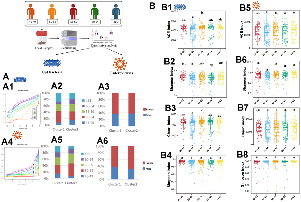 Descriptive analysis of gut bacteria and enteroviruses. (A1) shows the unsupervised clustering of samples based on gut bacteria in species level. (A2) shows the age-related composition ratio of each cluster based on gut bacteria in species level. (A3) shows the sex-related composition ratio of each cluster based on gut bacteria in species level. (A4) shows the unsupervised clustering of samples based on enterovirus in genus level. (A5) shows the age-related composition ratio of each cluster based on enterovirus in genus level. (A6) shows the sex-related composition ratio of each cluster based on enterovirus in genus level. (B1–B4) plots the ACE, Shannon, Chao1, and Simpson index of gut bacteria in species levels, respectively. (B5–B8) plots the ACE, Shannon, Chao1, and Simpson index of enterovirus in genus level, respectively. The a, b, and ab in (B) indicate that there are statistical differences between different labels in different groups.