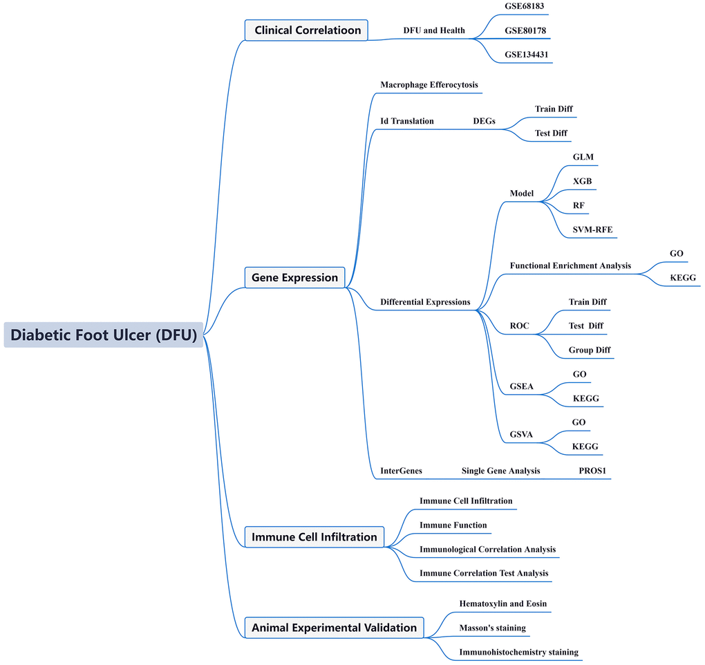Flow chart of this study.