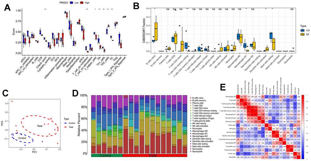 Immune analysis. (A) Immune functional analysis of the PROS1 gene; (B) DFU immune infiltration analysis; (C) PCA analysis of immune infiltration results; (D) Immune cell distribution; (E) Immune cell correlation analysis.