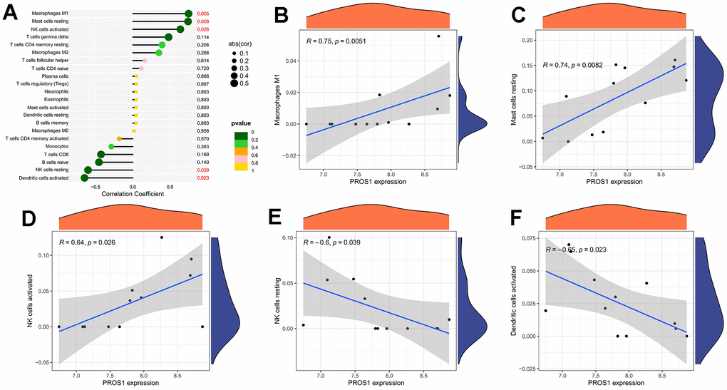 Immune cell correlation analysis of PROS1. (A) Correlation analysis; (B) PROS1 correlation analysis with Macrophages M1; (C) PROS1 correlation analysis with mast cells resting; (D) PROS1 correlation analysis with NK cells activated; (E) PROS1 correlation analysis with NK cells resting; (F) PROS1 correlation analysis with dendritic cells activated.