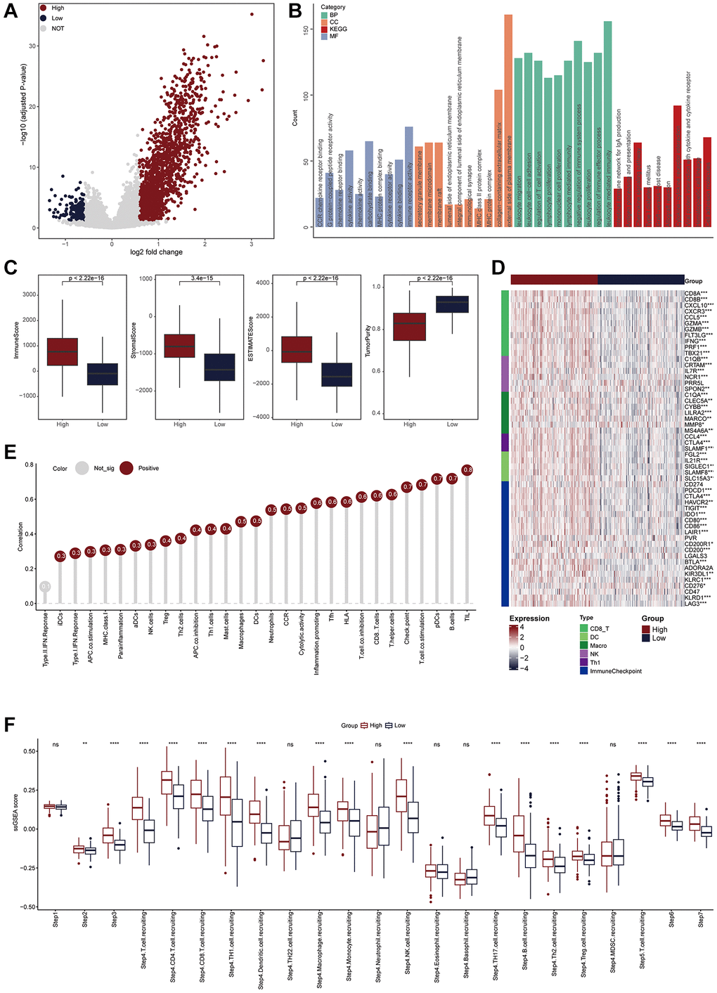 TLS was positively correlated with immunological scores in the TCGA-CESC cohort. (A) Volcano plot showing the DEGs for the TLS-high and low groups in the TCGA-CESC cohort. Red point: the up-regulated genes of TLS-high group. Blue point: the up-regulated genes of TLS-low group. Grey point: genes with no statistical significance. (B) Biological pathways enriched in the TLS-high group. (C) Comparison of StromalScore, ImmuneScore, ESTIMATEScore and tumor purity between TLS-high and low groups. (D) Heatmap showing the expression of biomarkers of immune subpopulations and immune checkpoints in the TCGA-CESC cohort. (E) The correlation between TLS expression and the enrichment scores of immune subpopulations and immune-related signaling pathways in the TCGA-UCEC cohort. (F) Comparing the enrichment scores of each step in the cancer immunity cycle between TLS-high and low groups.