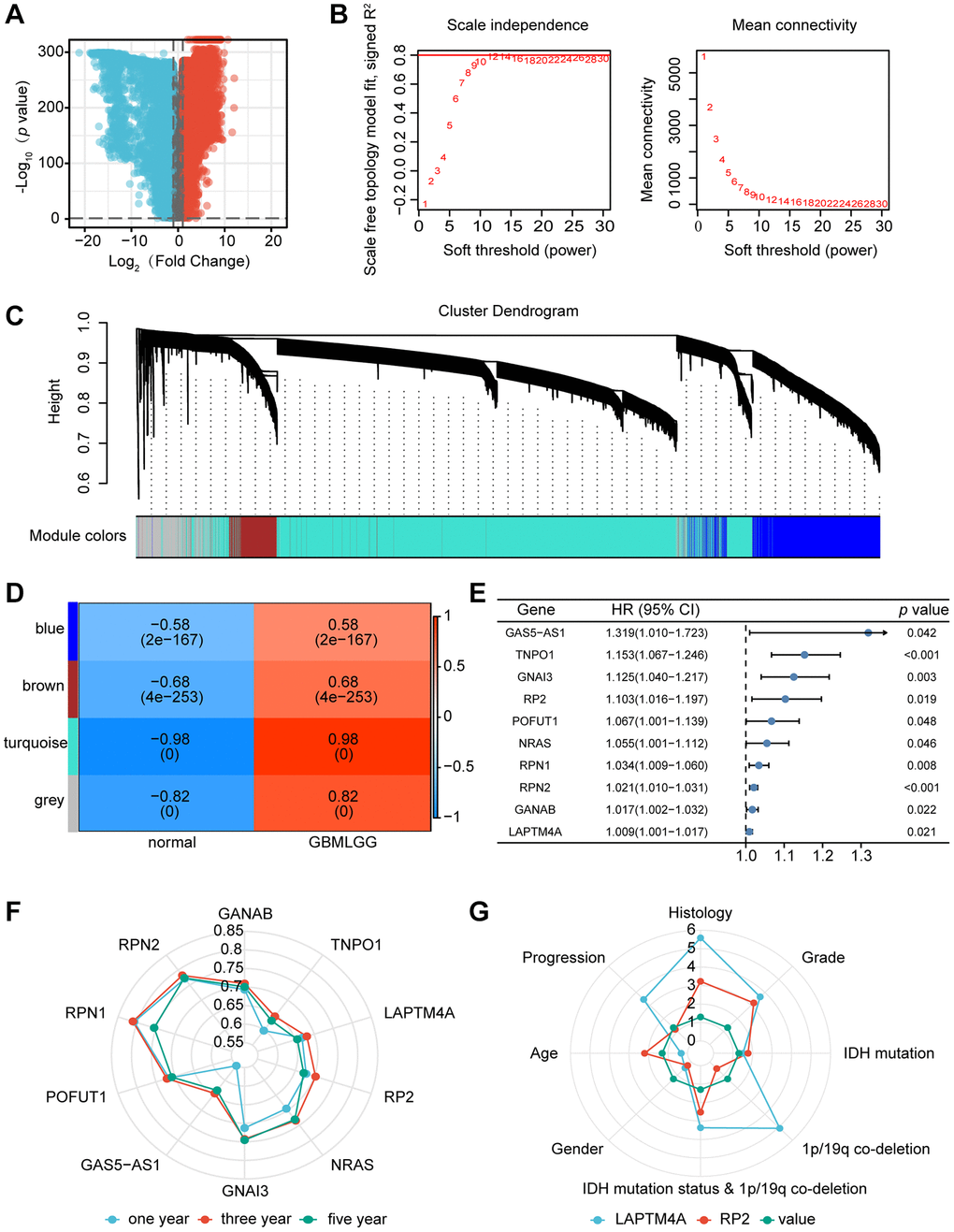 Identification of the key gene modules in WGCNA. (A) The volcano map showed differentially expressed genes. (B) Determination of the soft-thresholding power. (C) Dendrogram of differentially expressed genes clustered based on a dissimilarity measure (1-TOM). (D) The correlation of gene modules with clinical traits. (E) Gene correlation scatter plot of the turquoise module. (F) The 1-, 3-, and 5-years ROC for the top ten genes. (G) Comparison of the clinical significance of LAPTM4A and RP2.