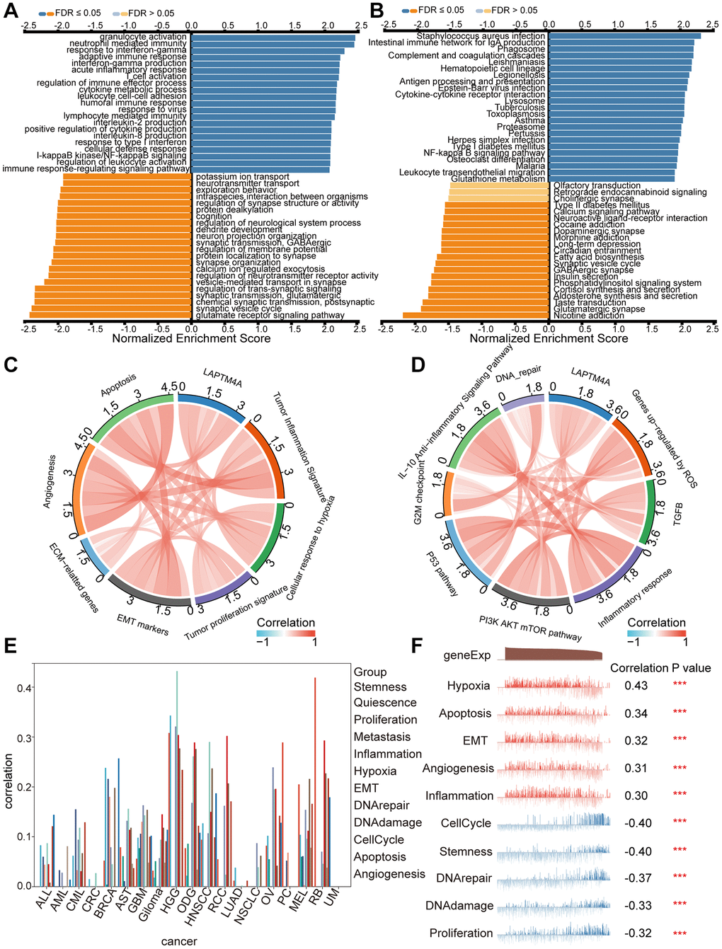 Pathway enrichment analysis of LAPTM4A. (A, B) Significantly enriched GO and KEGG pathways of LAPTM4A. GO: Gene Ontology; KEGG: Kyoto Encyclopedia of Genes and Genomes. (C, D) Correlation of LAPTM4A expression and cancer-related pathways. (E) Functional relevance of LAPTM4A in pan-cancers from cancerSEA. (F) Functional relevance of LAPTM4A in GBMLGG from cancerSEA red plots suggested a positive correlation, while blue plots suggested a negative correlation.