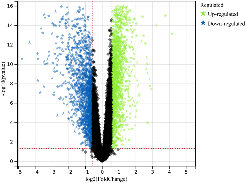 Exploration of differentially expressed genes (DEGs). A comprehensive set of 1117 DEGs was identified and analyzed, shedding light on the molecular distinctions underlying colorectal cancer.