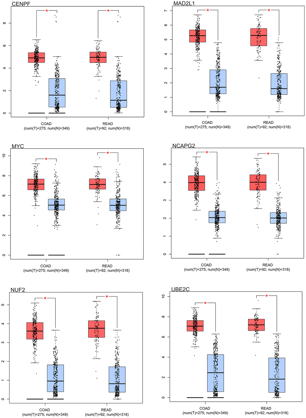 Survival analysis. Box results of colorectal cancer core genes.