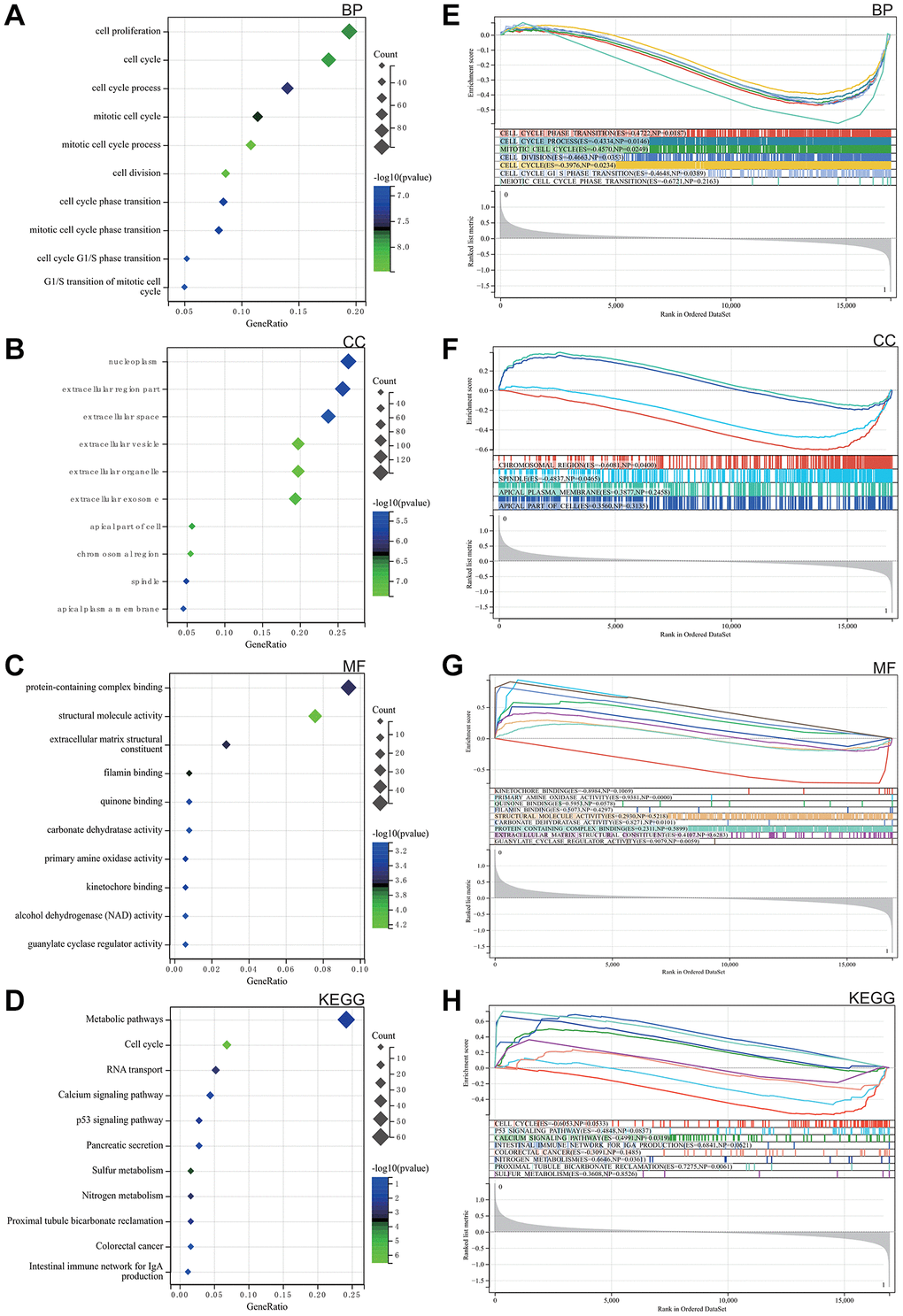 Analysis of the functional enrichments. (A–C) GO. (D) Analysis of the KEGG. (E–H) GSEA.