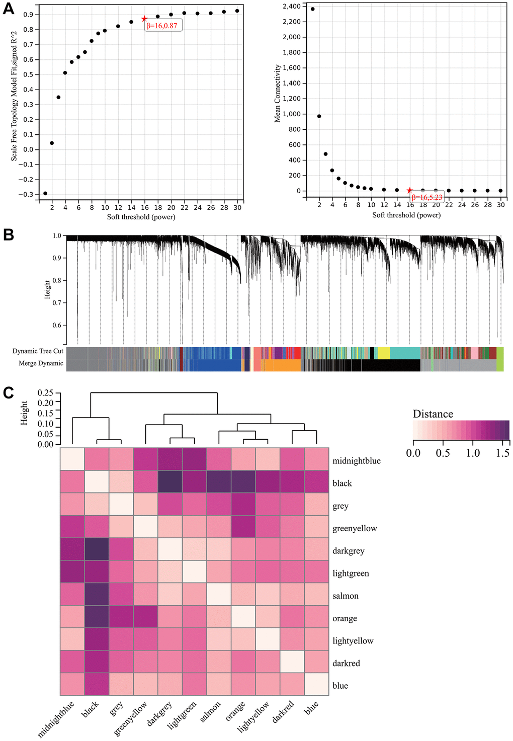 WGCNA. (A) β = 16, 0.87. β = 16, 5.23. (B) All the genes involved in the production of the 11 modules. (C) The interaction between the most important module.