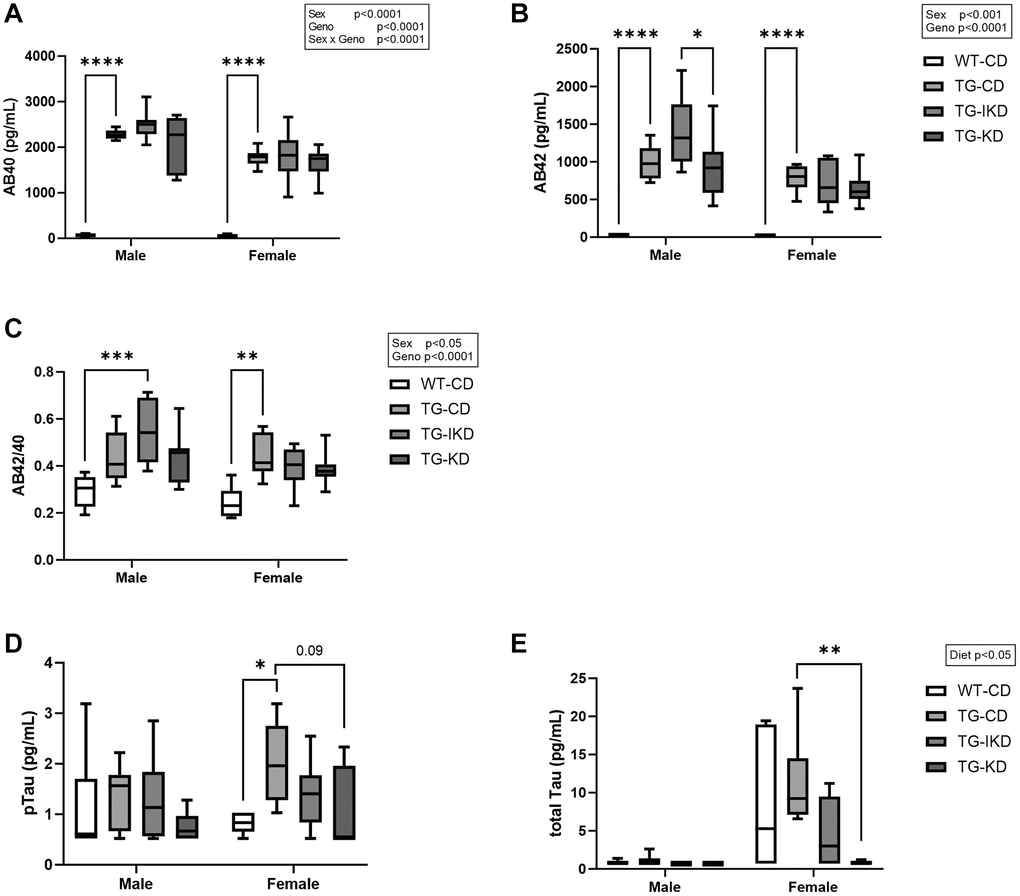 Plasma level of amyloid beta (Aβ) and phosphorylated Tau 181 (pTau). (A) Mean circulating Aβ40, (B) Aβ42, (C) Aβ42/42 ratio, (D) pTau, and (E) total Tau were measured in male and female rats fed control diet (CD), intermittent ketogenic diet (IKD) or ketogenic diet (KD) (n = 6–8/group). Aβ40, Aβ42, and Aβ42/40 ratio data were analyzed by repeated measures two-way ANOVA with Tukey’s post-hoc pairwise comparisons. Phosphorylated and total Tau data were analyzed using Kruskal-Wallis’s test with Dunn’s post-hoc to compare differences between diet groups within sex. *p **p ***p ****p 