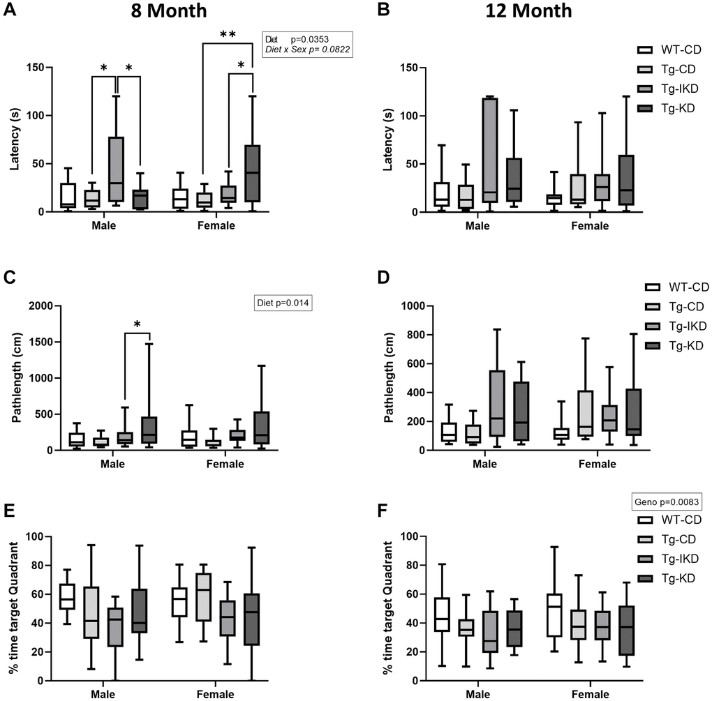 Spatial memory in IKD and KD fed TgF344-AD rats. Barnes maze latency to the target hole (A, B), pathlength to target hole (C, D) and time spent in the target quadrant (E, F) in the probe trial of the Barnes maze test was determined in wild type (WT) and Tg433-AD (Tg) rats. Behaviors were assessed at 8 (A, C and E, n = 11–15/group) or 12 (B, D, and F, n = 13–15/group) months of age and data were analyzed by two-way ANOVA followed with the Tukey’s post-hoc pairwise comparisons. *p **p 