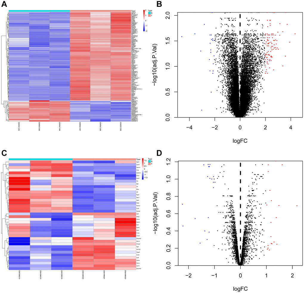 Heat map and volcano map of differentially expressed genes of GSE73095 and GSE197236. (A, B) Heat map and volcano map of DEGs in GSE73095. (C, D) Heat map and volcano map of DEGs in GSE197236.