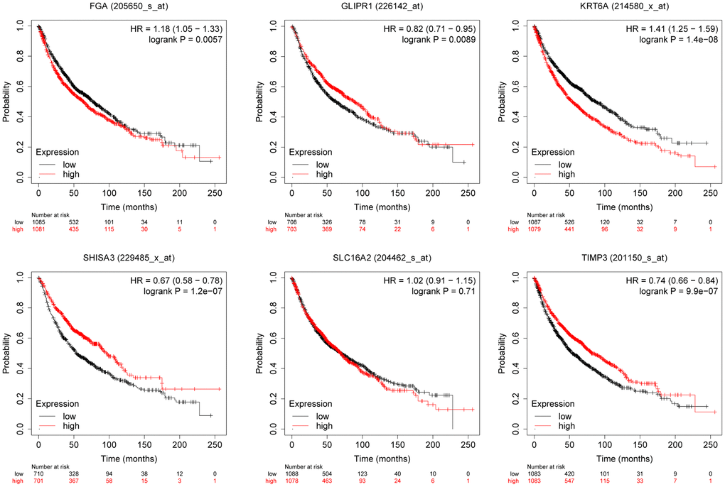 The relationship between the expression level of selected genes and overall survival of lung cancer patients.