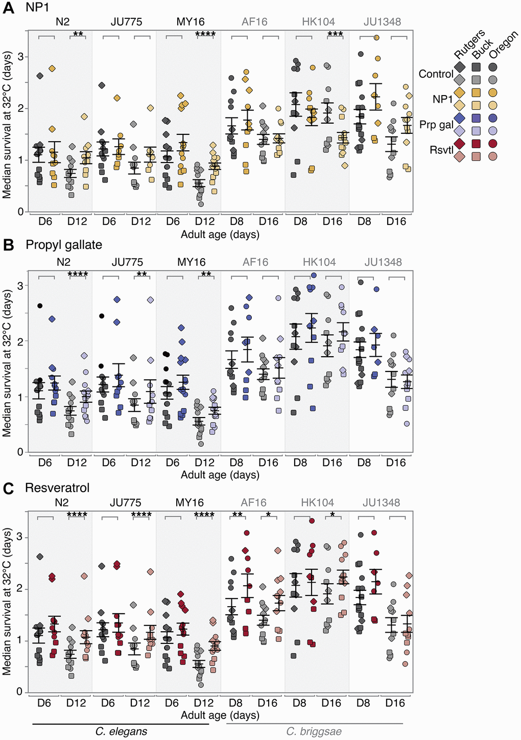 Compound effects on thermotolerance. The effect of adult exposure to (A) NP1, (B) propyl gallate, or (C) resveratrol on thermotolerance, specifically median survival at 32°C. Thermotolerance assays were run beginning on day 6 and 12 (C. elegans) or day 8 and 16 (C. briggsae) of adulthood. Three strains were tested from each species: C. elegans strains N2, MY16, and JU775 (black text), and C. briggsae AF16, ED3092, and HK104 (gray text). Each point represents the median survival at 32°C of an individual trial plate (technical replicate), either control (vehicle only – gray), or compound treated (color). The bars represent the mean +/− the standard error of the mean. Biological replicates were completed at the three CITP testing sites (square – Buck Institute, circle – Oregon, and diamond – Rutgers). Asterisks represent p-values from the CPH model such that ****p ***p **p *p 