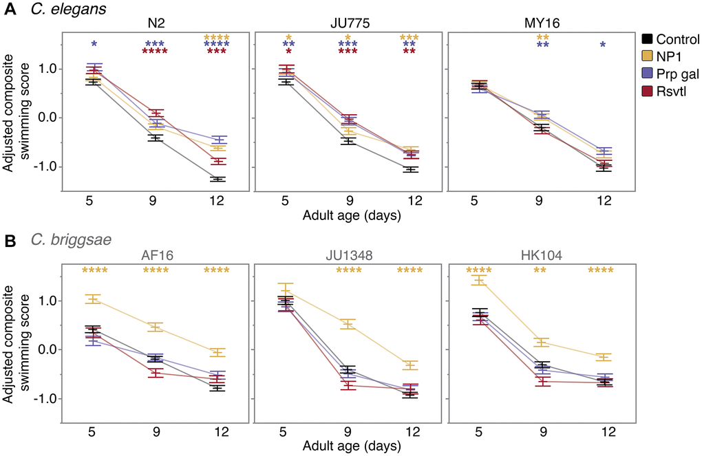 Compound effects on CeleST composite swim scores. The effect of adult exposure to NP1, propyl gallate, or resveratrol on overall swimming ability with age in (A) three C. elegans strains (N2, JU775, MY16), and (B) three C. briggsae strains (AF16, JU1348, HK104). Swimming assays were run on days 5, 9, and 12 of adulthood. Bars represent the mean +/− the standard error of the mean. Adjusted swimming score values were normalized to the strain mean value. Two biological replicates were completed at each of the three CITP testing sites. Asterisks represent p-values from the linear mixed model such that ****p ***p **p *p 