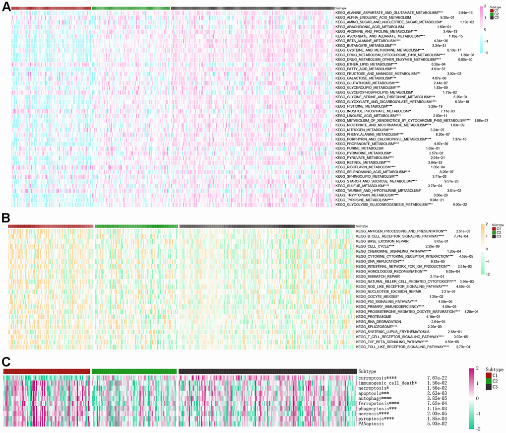 Correlations of the scores of βAMRGs with tumor-related metabolic, immune, and cell death pathways in the three clusters were examined. (A) The activity levels of 42 conventional metabolic pathways were analyzed across the three clusters. (B) The activity levels of 24 immune-related pathways were assessed across the three clusters. (C) The activity levels of 10 cell death pathways were investigated across the three clusters. (* indicates p 