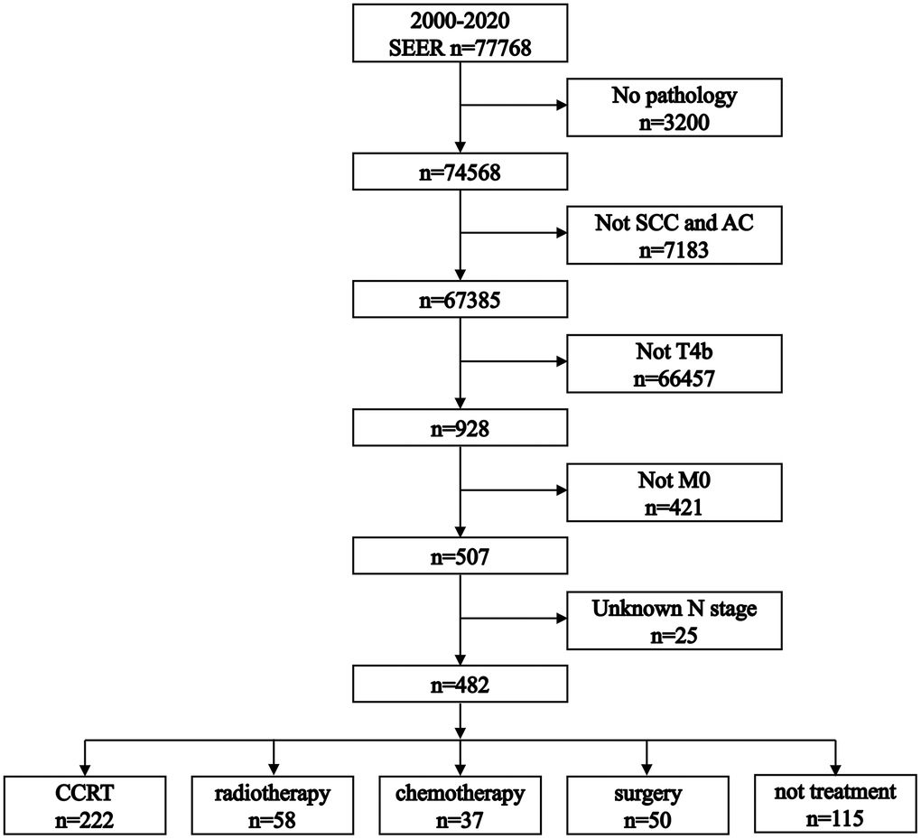 Flowchart illustrating the process of patient selection. SCC: squamous cell carcinoma. AC: adenocarcinoma.