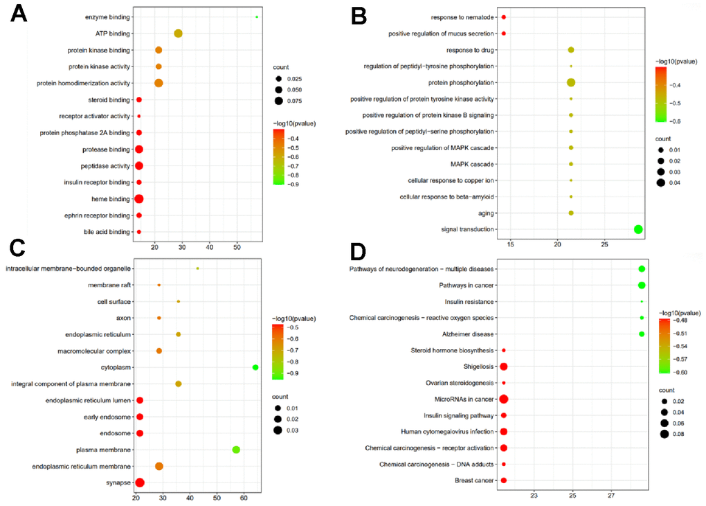 Synergic biological function of VA and FA. (A) Synergic targets of VA and FA enriched in biological processes (MF); (B) Synergic targets of VA and FA enriched in cellular component (BP); (C) Synergic targets of VA and FA enriched in molecular function (CC); (D) Synergic targets of VA and FA enriched in KEGG enrichment of the intersection targets between SGR predicted targets and heart failure.