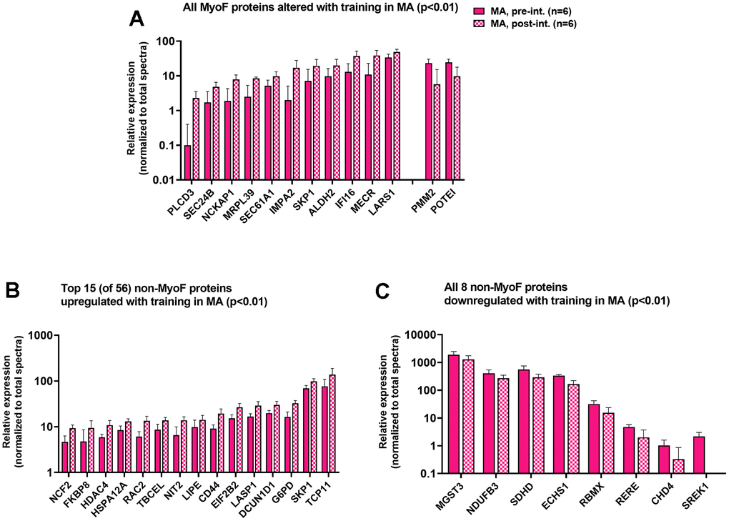 MyoF and non-MyoF proteins altered with resistance training in MA participants. Legend: Data presented for MA prior to and following eight weeks of knee extensor training include proteins in the MyoF fraction (11 up-regulated, 2 down-regulated; (A), the top 15 up-regulated proteins in the non-MyoF fraction (B), and all 8 down-regulated proteins in the non-MyoF fraction (C). Data are presented as mean ± standard deviations for individual protein spectra values (normalized to total run spectra values), and y-axes were scaled as log10 for improved visualization. Notes: No biological processes were predicted to be affected with training based on these alterations.