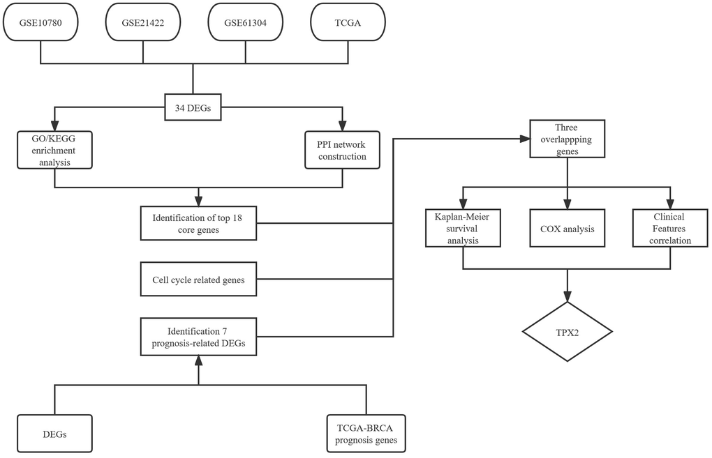 Flow chart of the screened and validated process.