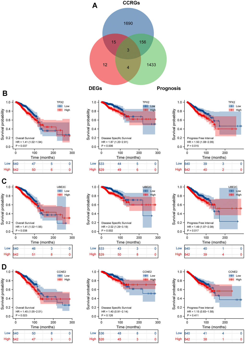 Identification cell cycle-related DEGs. (A) An intersection analysis of the TGCA-BRCA prognostic molecules and cell cycle-related DEGs. (B–D) The survival analysis of TPX2/UBE2C/CCNE2 with the indictor, overall survival (OS), disease specific survival (DSS), progress free interval (PFI), respectively. P 