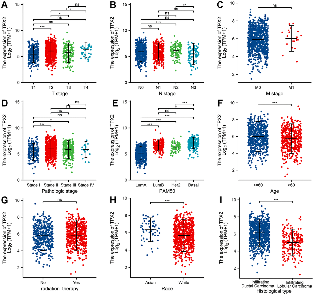 Correlation between TPX2 expression and the clinicopathological features of breast cancer patients for (A) T stage, (B) N stage, (C) M stage, (D) pathologic stage, (E) PAM50, (F) Age, (G) radiation therapy, (H) race and (I) histologic type. *P 